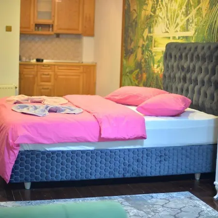 アパートホテル Kardelenkonakbutikhotel *